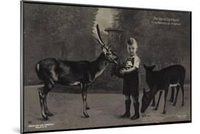 Prinz Wilhelm Von Preußen Füttert Hirsch, Liersch-null-Mounted Giclee Print