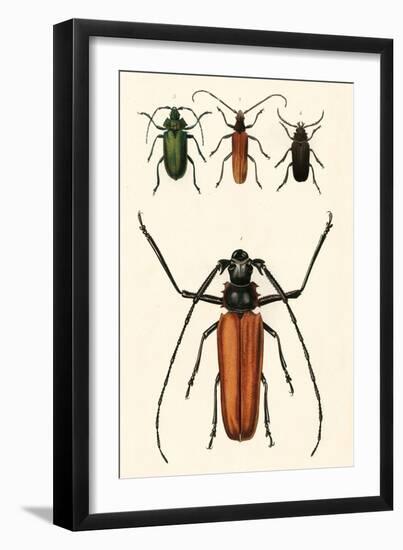 Prioninae, or Long-Horned Beetles-Auguste Dumesnil-Framed Art Print