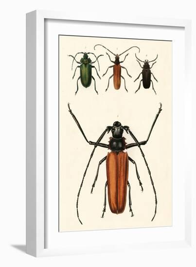 Prioninae, or Long-Horned Beetles-Auguste Dumesnil-Framed Art Print