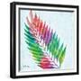 Prism Palm I-Paul Brent-Framed Premium Giclee Print