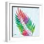 Prism Palm I-Paul Brent-Framed Art Print