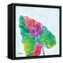 Prism Palm III-Paul Brent-Framed Stretched Canvas
