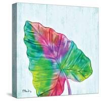 Prism Palm III-Paul Brent-Stretched Canvas