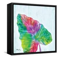 Prism Palm III-Paul Brent-Framed Stretched Canvas