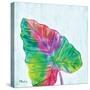 Prism Palm III-Paul Brent-Stretched Canvas