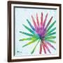 Prism Palm IV-Paul Brent-Framed Art Print