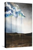 Prism Storm-Kari Taylor-Stretched Canvas