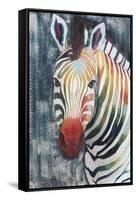 Prism Zebra II-Grace Popp-Framed Stretched Canvas