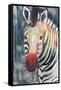 Prism Zebra II-Grace Popp-Framed Stretched Canvas