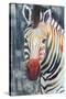 Prism Zebra II-Grace Popp-Stretched Canvas