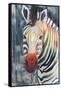 Prism Zebra II-Grace Popp-Framed Stretched Canvas