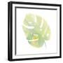 Prisma Tropical I-June Vess-Framed Art Print