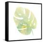 Prisma Tropical I-June Vess-Framed Stretched Canvas