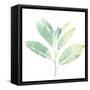 Prisma Tropical II-June Vess-Framed Stretched Canvas