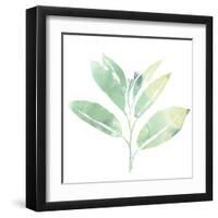 Prisma Tropical II-June Vess-Framed Art Print