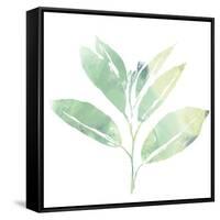 Prisma Tropical II-June Vess-Framed Stretched Canvas