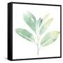 Prisma Tropical II-June Vess-Framed Stretched Canvas