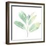 Prisma Tropical II-June Vess-Framed Art Print