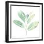 Prisma Tropical II-June Vess-Framed Art Print