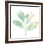 Prisma Tropical II-June Vess-Framed Art Print