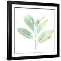 Prisma Tropical II-June Vess-Framed Art Print