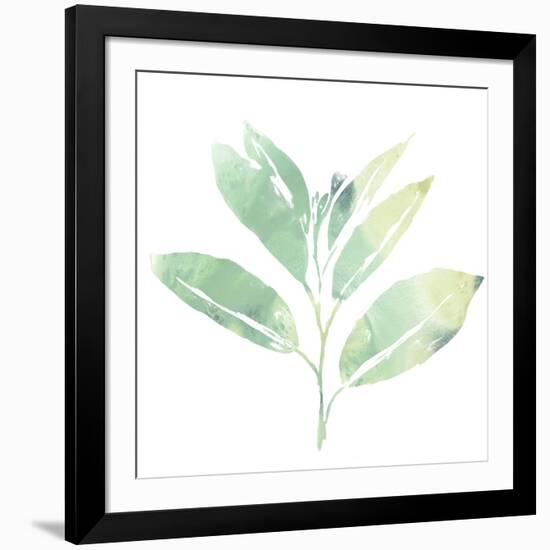 Prisma Tropical II-June Vess-Framed Art Print