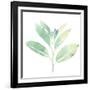 Prisma Tropical II-June Vess-Framed Art Print