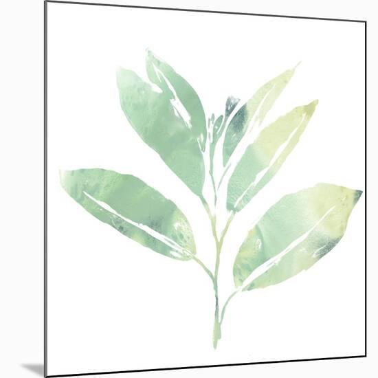 Prisma Tropical II-June Vess-Mounted Art Print