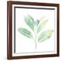 Prisma Tropical II-June Vess-Framed Art Print