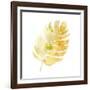 Prisma Tropical III-June Vess-Framed Art Print