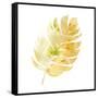 Prisma Tropical III-June Vess-Framed Stretched Canvas