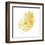 Prisma Tropical III-June Vess-Framed Art Print