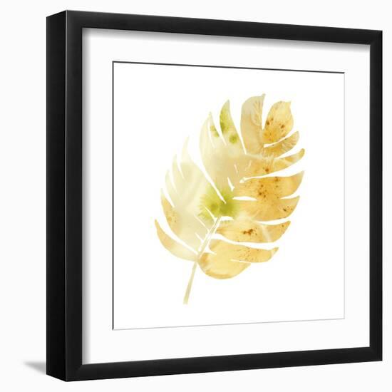 Prisma Tropical III-June Vess-Framed Art Print