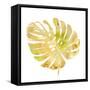 Prisma Tropical IV-June Vess-Framed Stretched Canvas