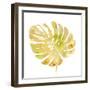 Prisma Tropical IV-June Vess-Framed Art Print