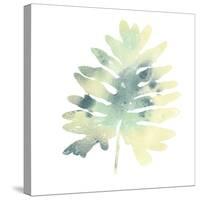 Prisma Tropical VI-June Vess-Stretched Canvas