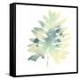 Prisma Tropical VI-June Vess-Framed Stretched Canvas