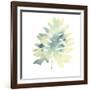 Prisma Tropical VI-June Vess-Framed Art Print