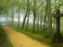 Beech Forest, Urkiola Natural Park, Biscay Province, Basque Country, Spain-Prisma-Photographic Print