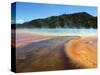 Prismatic Hot Spring in Yellowstone National Park, Wyoming-Maureen Eversgerd-Stretched Canvas
