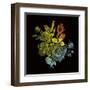 Prismatic Perception-Kareem Rizk-Framed Giclee Print