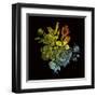 Prismatic Perception-Kareem Rizk-Framed Giclee Print