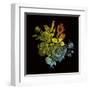 Prismatic Perception-Kareem Rizk-Framed Giclee Print