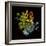 Prismatic Perception-Kareem Rizk-Framed Giclee Print