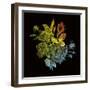 Prismatic Perception-Kareem Rizk-Framed Giclee Print