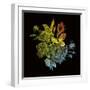 Prismatic Perception-Kareem Rizk-Framed Giclee Print