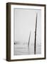 Prismatic Walk, Black and White, Yellowstone National Park-Vincent James-Framed Photographic Print