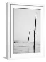 Prismatic Walk, Black and White, Yellowstone National Park-Vincent James-Framed Photographic Print