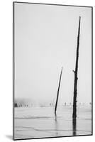 Prismatic Walk, Black and White, Yellowstone National Park-Vincent James-Mounted Photographic Print