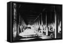Framed Canvas